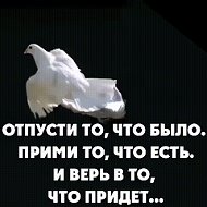 Легран Реальность