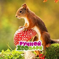 Ручной Зоопарк