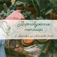 Дорогобужские Теплицы