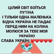 Модные Новинки