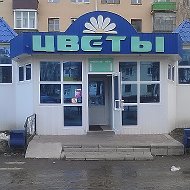 Цветы Цветочки