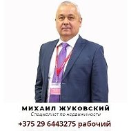 Михаил Жуковский