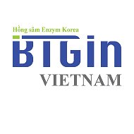 Btgin Việt