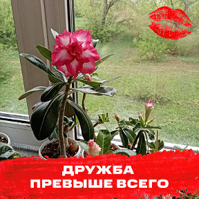 Фотография от Надежда Семенченко (Демина)