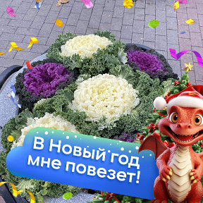 Фотография от Валентина Волошина(Душина)