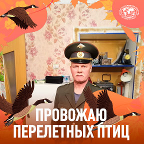 Фотография от павел салов