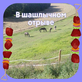 Фотография от Вася Баламут