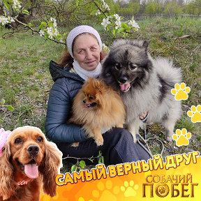 Фотография от Ирина ❤ пряду 🐶 вяжу шерсть собак 🐾