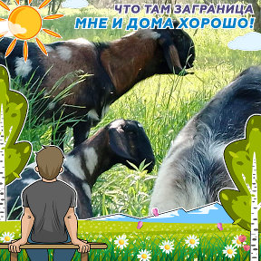 Фотография от 💐Ирина Парусова💐