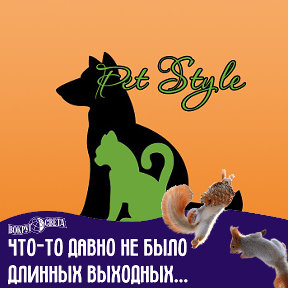 Фотография от Зоосалон Pet Style Омск
