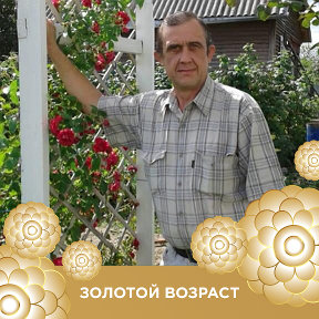 Фотография от Андрей Жостков