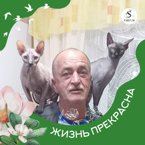 Фотография от Алексей Вышегородцев