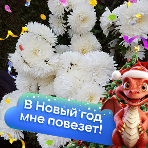 Фотография от Людмила Ковальчук(Величко)