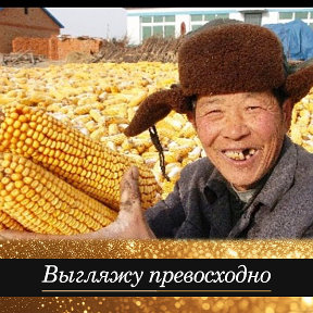 Фотография от Дон Карлос Продавец кукурузы