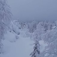 А Попович