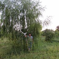 Александр Борисенко