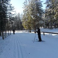 Кирилл Петров