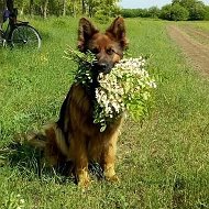 Анастасия Болдырева