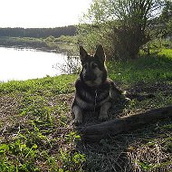 Владимир Смирнов