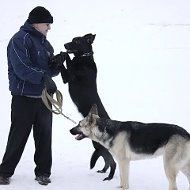 Владимир Павлов