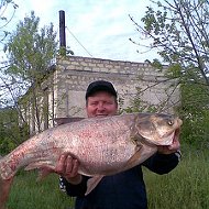 Владимир Кульгачев