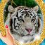 Любовь ТигровАя