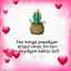 🌵💓 💓🌵