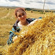 Елена Винтилова