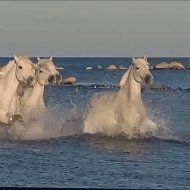 Светлана Кадочникова