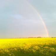 Юрій Віталійович