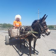 Василий Борисенков