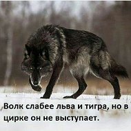 Уктам Тажибоев