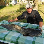 Віталій Полівко