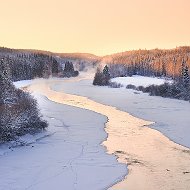 Gold-bonik Ribak