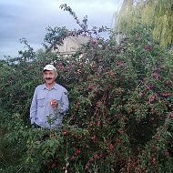 Гурбан Сулейманов