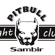 Пітбуль-самбір Pitbull-sambir