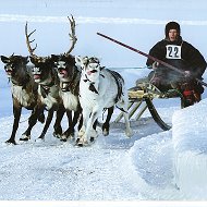 Константин Канев