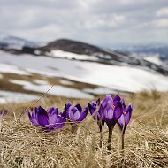 Марина Искандарова