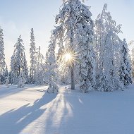 Гульнара Аманкулова