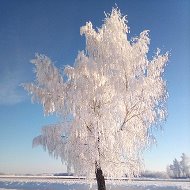 Инна Косаревская