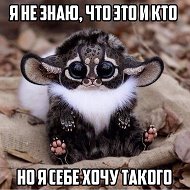 Катя Сизых