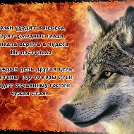 Валик Волк