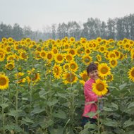 Эльвира Шаймуратова