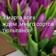 Цветы Букеты