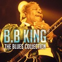 The Blues Collection: B.B King
