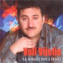 VALI VIJELIE - AM IUBIT PENTR