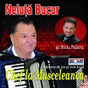 Nicu Paleru