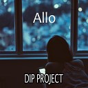 DIP project