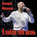 Виноградная косточка