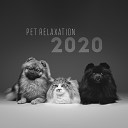 Pet Relaxation 2020